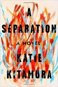 A Separation Book Cover